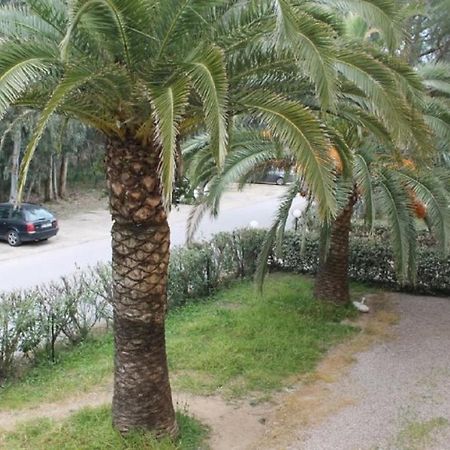 T2 Calvi Entierement Equipe A 150M De La Plage. Exteriér fotografie