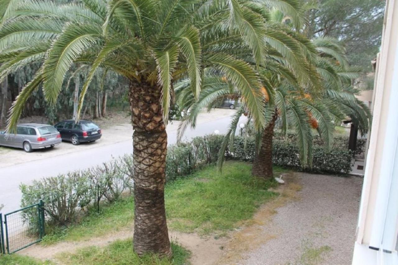 T2 Calvi Entierement Equipe A 150M De La Plage. Exteriér fotografie