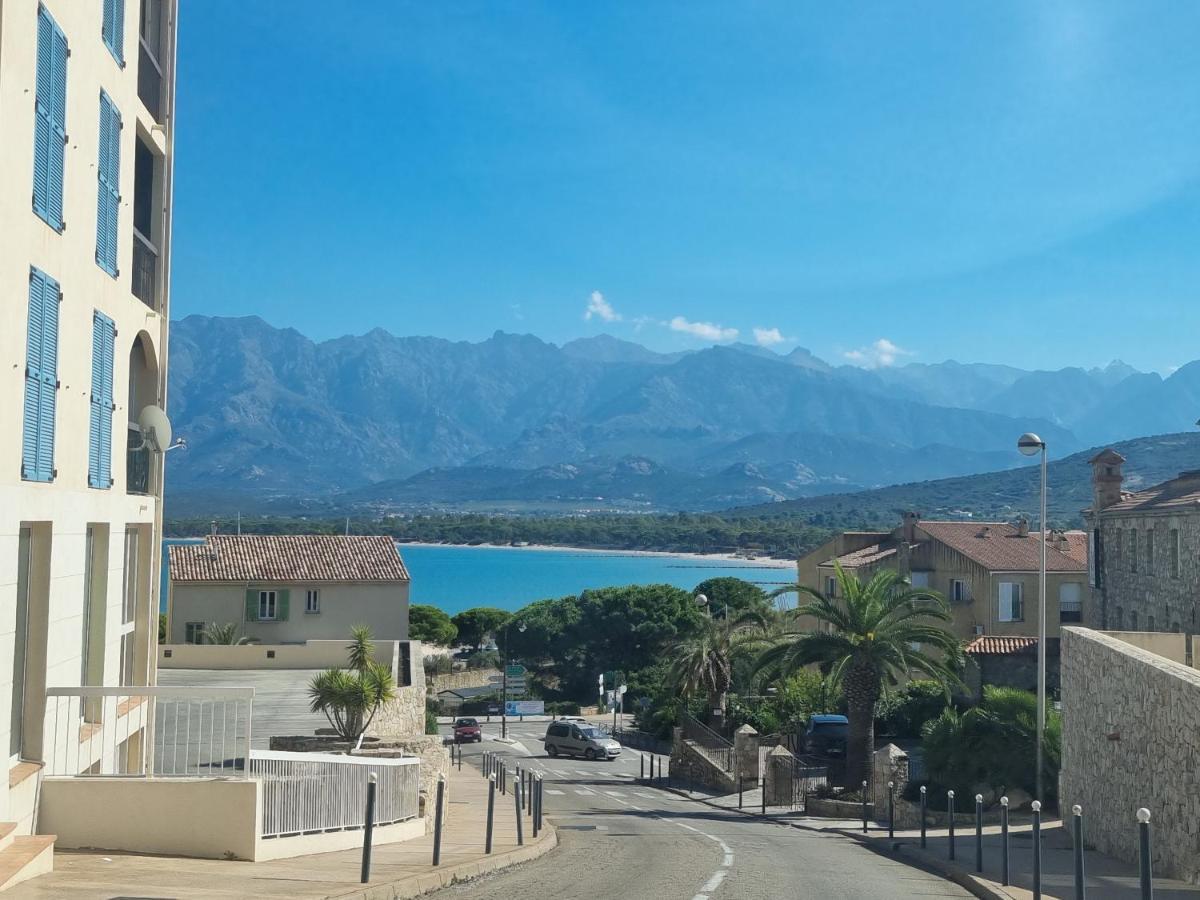 T2 Calvi Entierement Equipe A 150M De La Plage. Exteriér fotografie